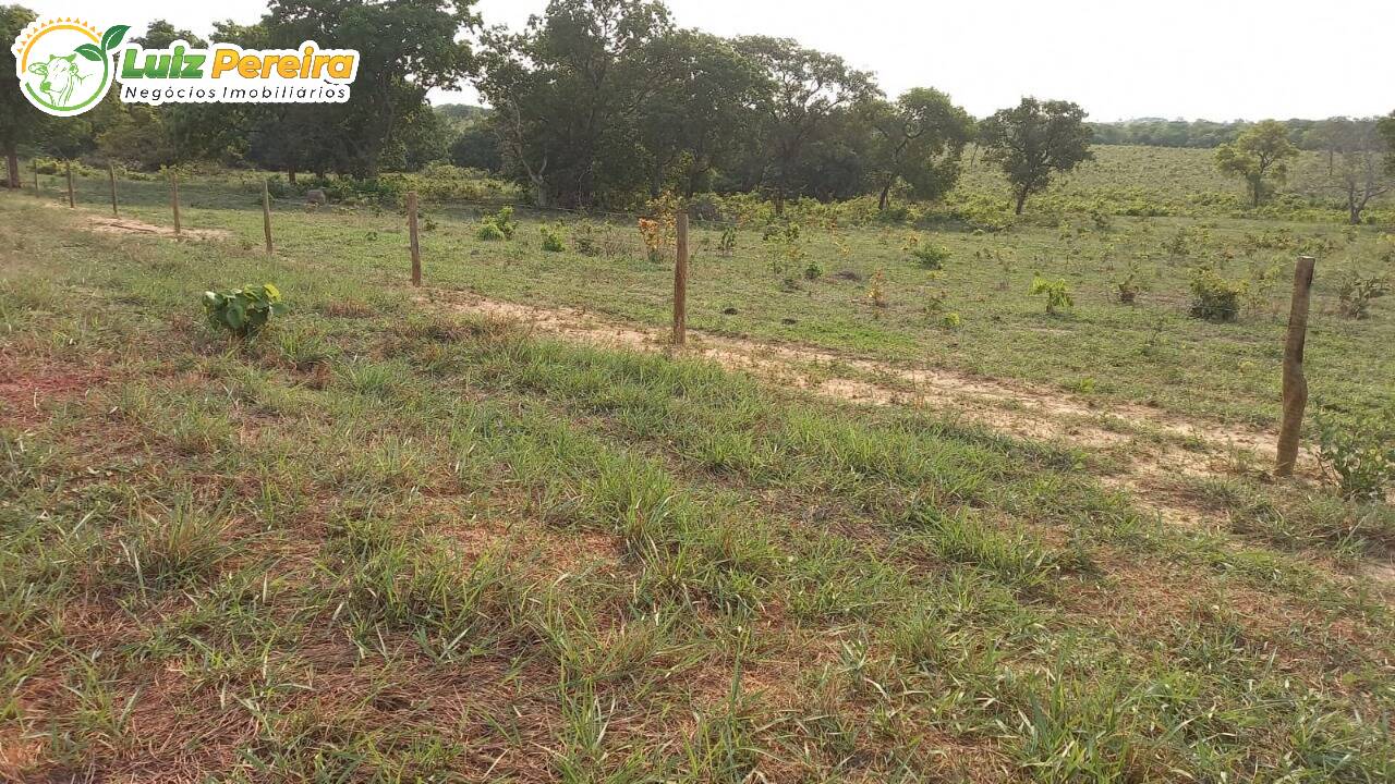 Fazenda à venda, 2470000m² - Foto 9