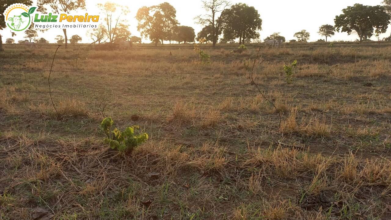 Fazenda à venda, 2470000m² - Foto 12