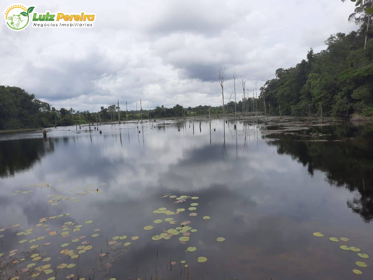 Fazenda à venda, 9680000m² - Foto 1