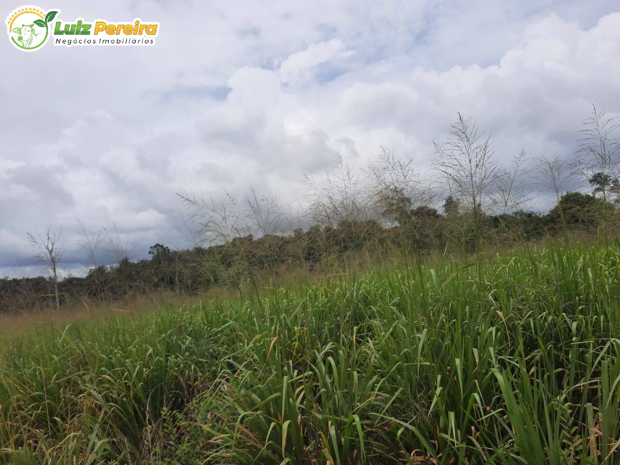 Fazenda à venda, 9680000m² - Foto 3