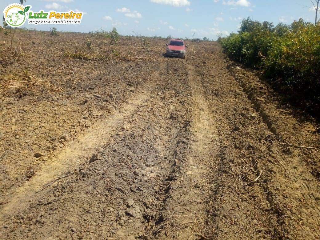 Fazenda à venda, 9680000m² - Foto 11