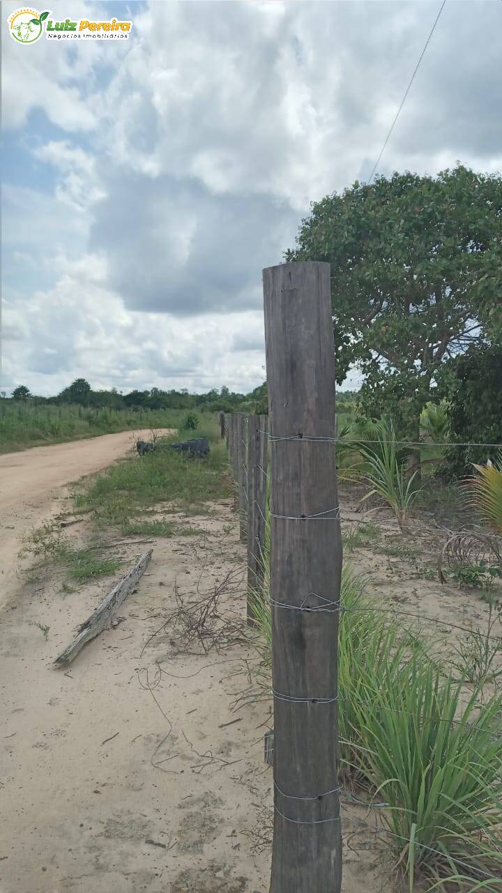 Fazenda à venda, 11664000m² - Foto 9