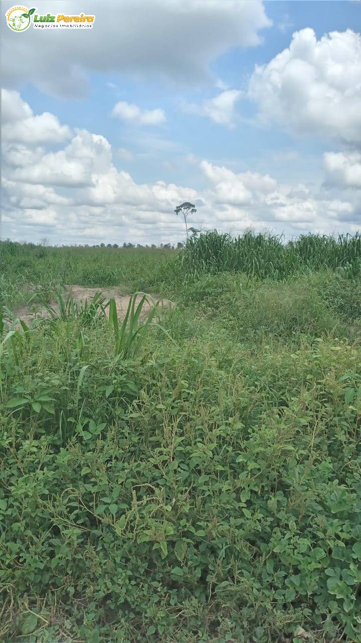 Fazenda à venda, 11664000m² - Foto 5