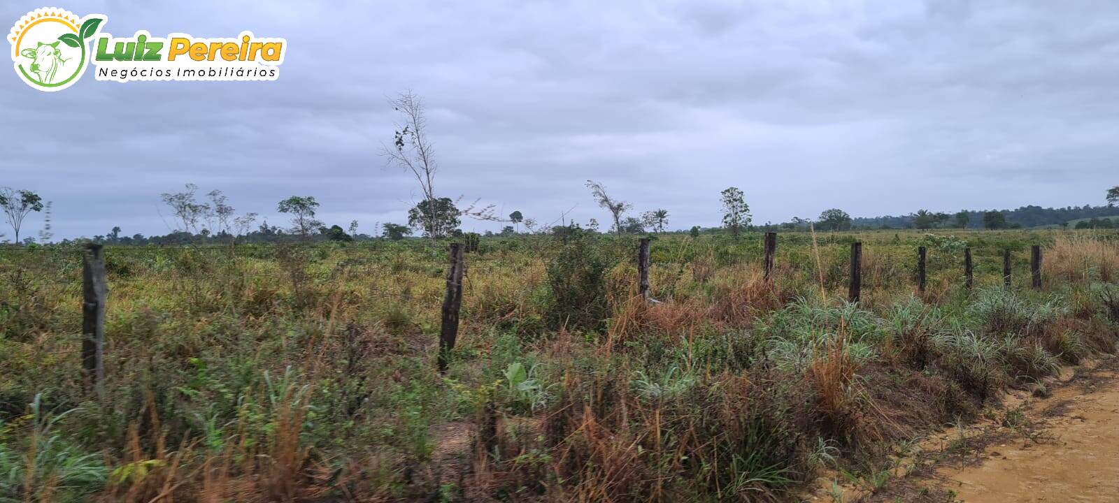 Fazenda à venda, 13770000m² - Foto 5