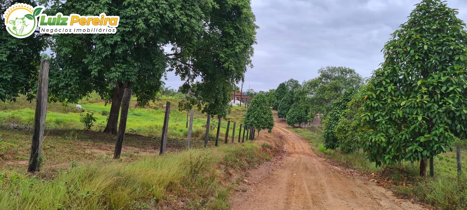 Fazenda à venda, 13770000m² - Foto 10