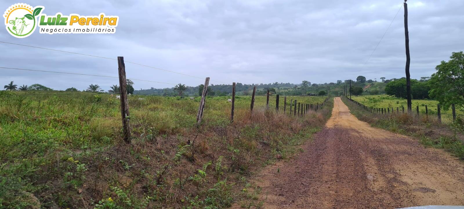 Terreno à venda, 13770000m² - Foto 11