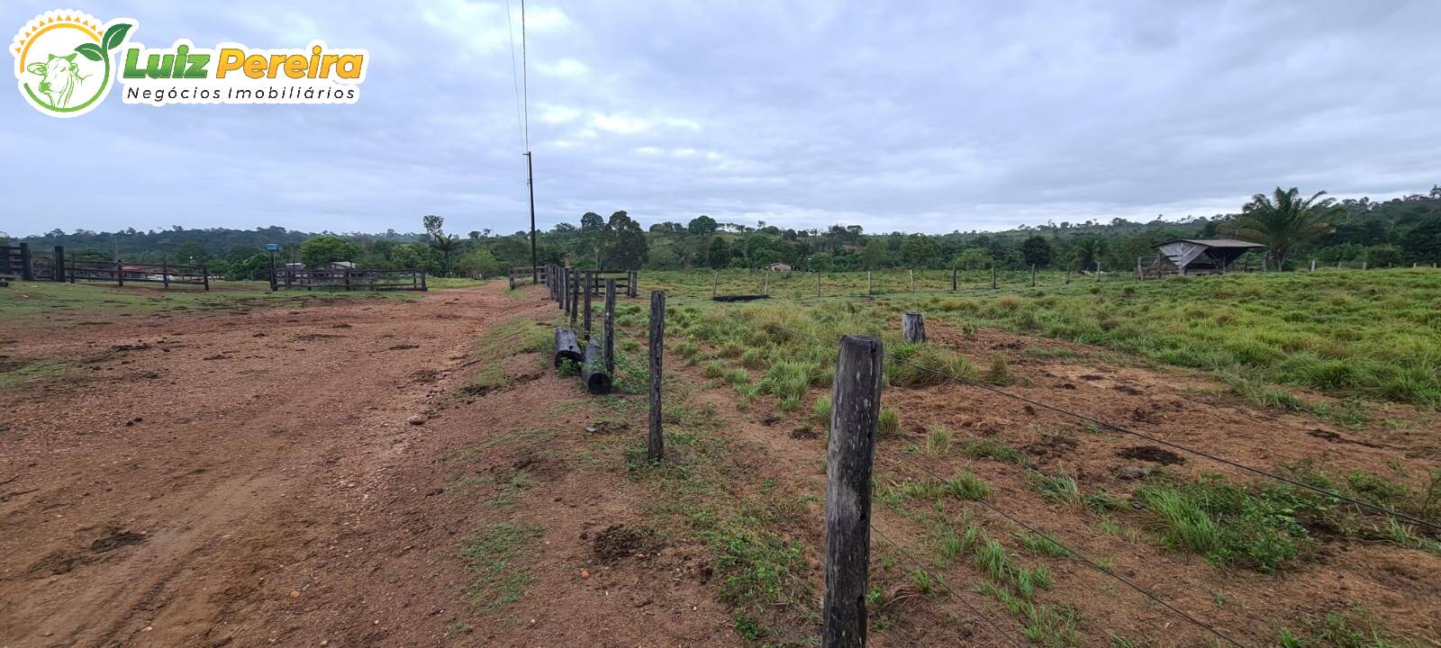 Fazenda à venda, 13770000m² - Foto 6