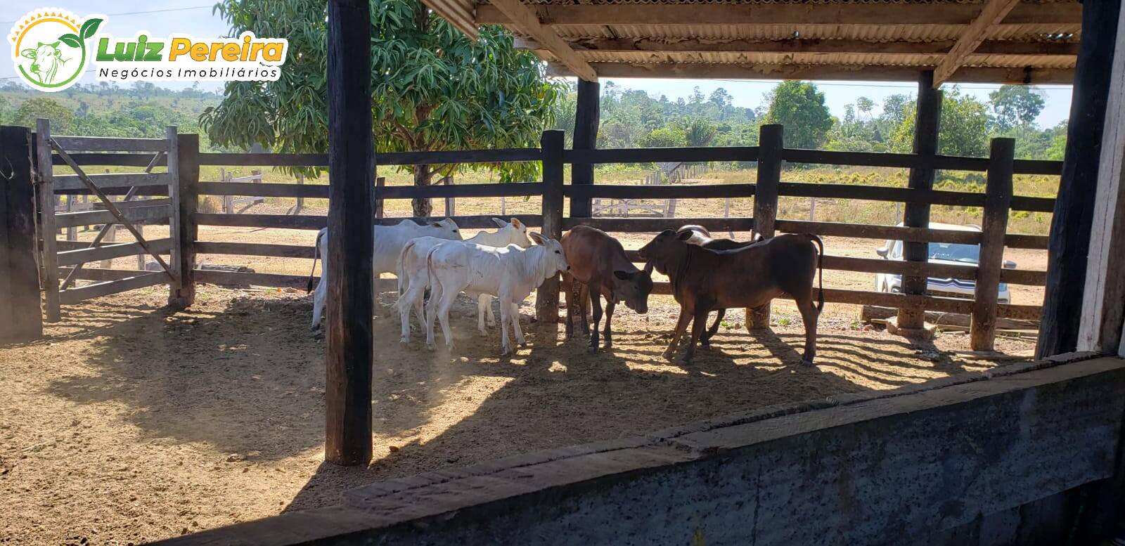 Fazenda à venda, 13770000m² - Foto 4