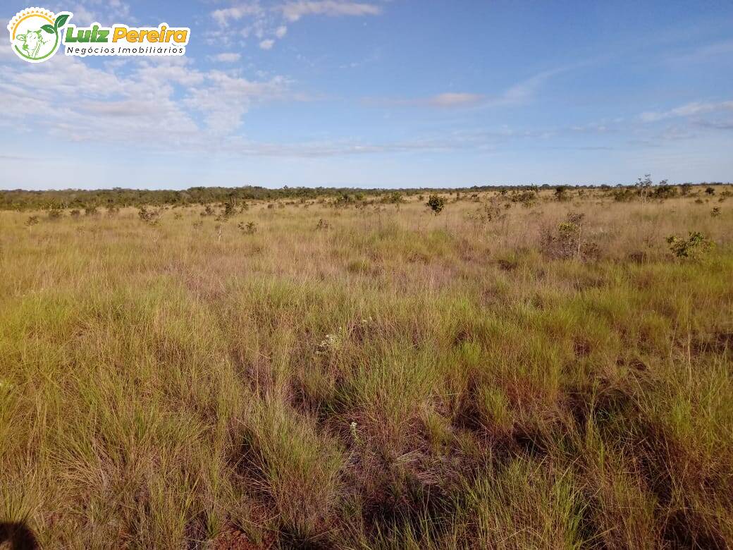 Fazenda à venda, 2517m² - Foto 9