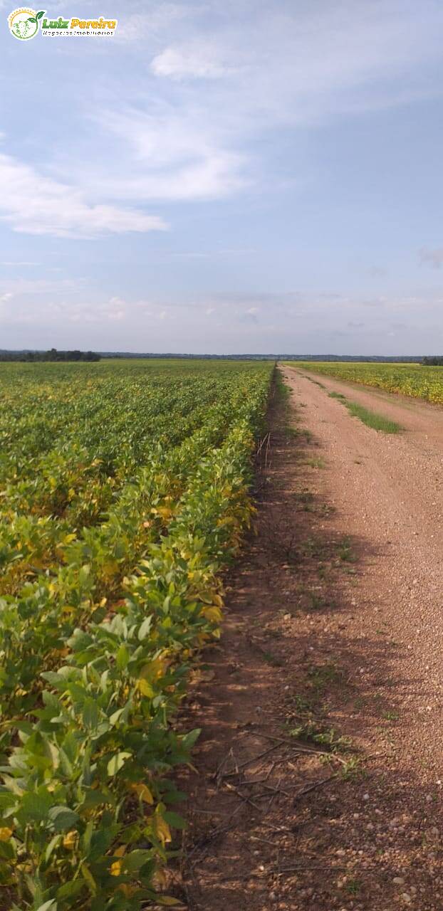 Fazenda à venda, 4828m² - Foto 13