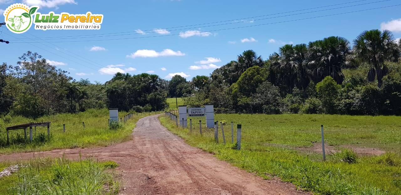 Fazenda à venda, 8480000m² - Foto 8