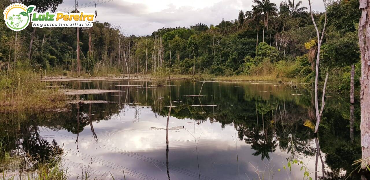 Fazenda à venda, 8480000m² - Foto 6