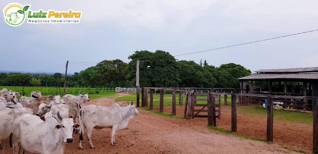 Fazenda-Sítio-Chácara, 848 hectares - Foto 2
