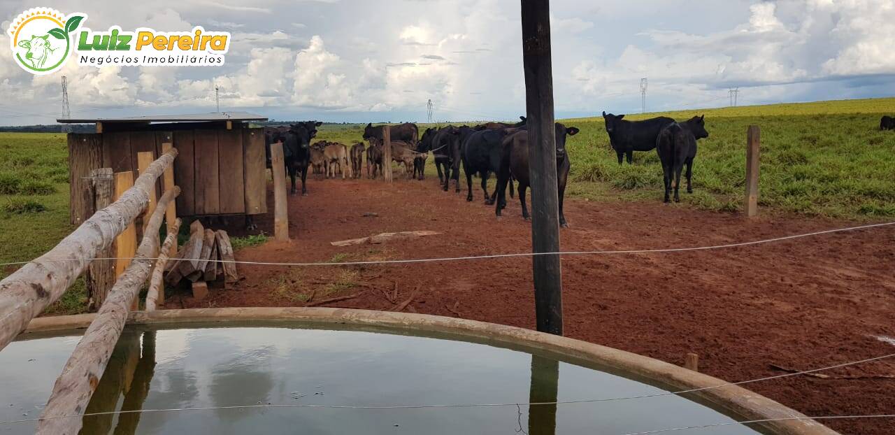 Fazenda à venda, 8480000m² - Foto 5