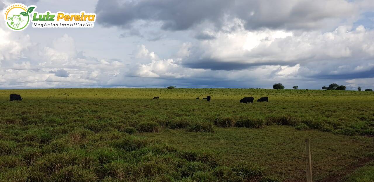 Fazenda à venda, 8480000m² - Foto 7