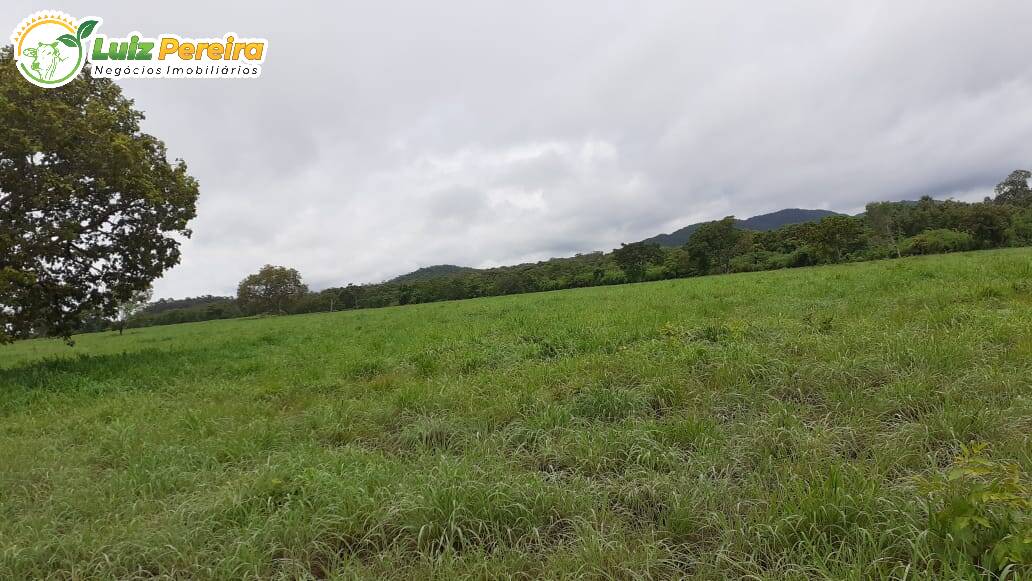 Fazenda-Sítio-Chácara, 762 hectares - Foto 1