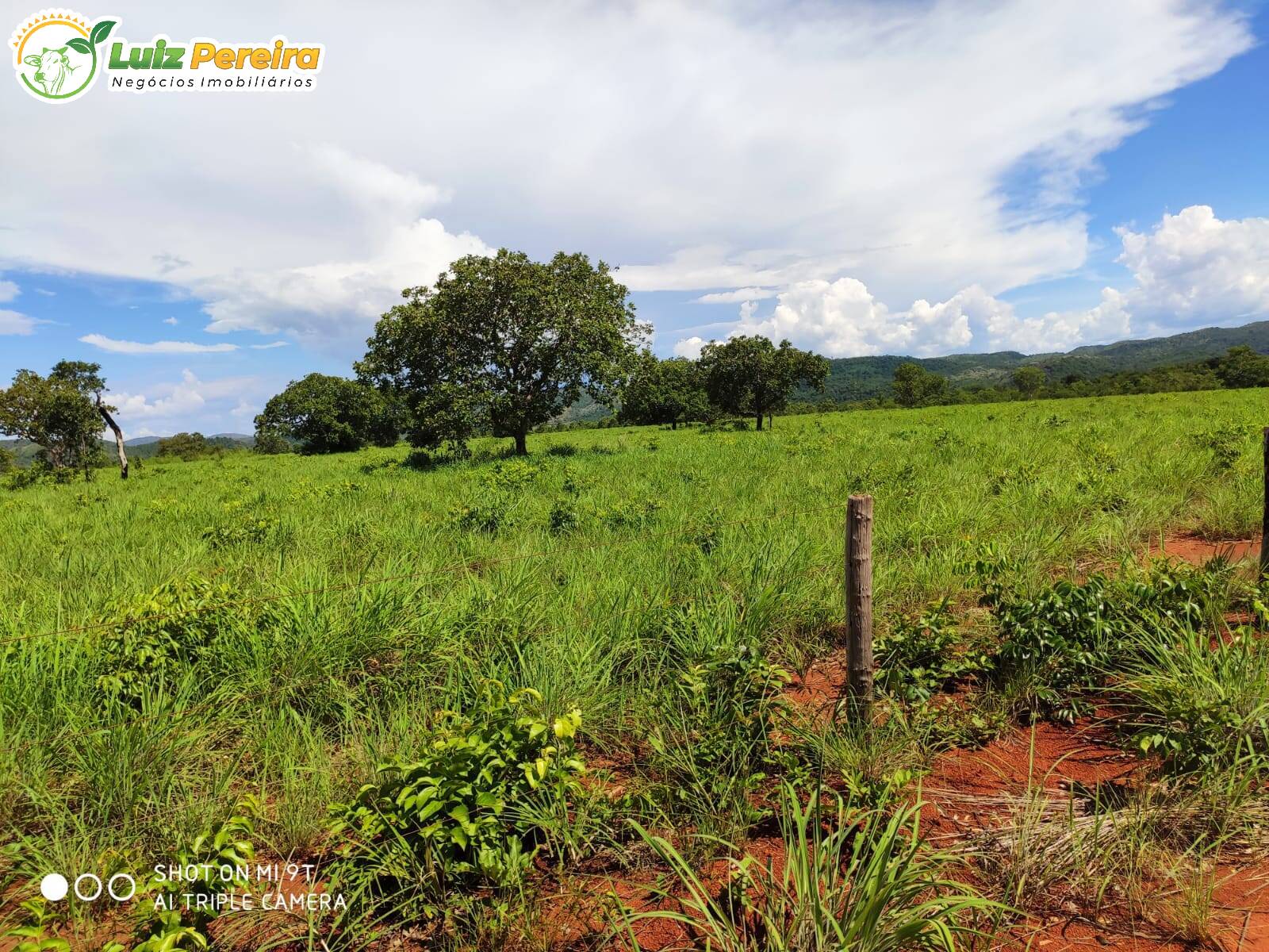 Fazenda à venda, 7623000m² - Foto 7