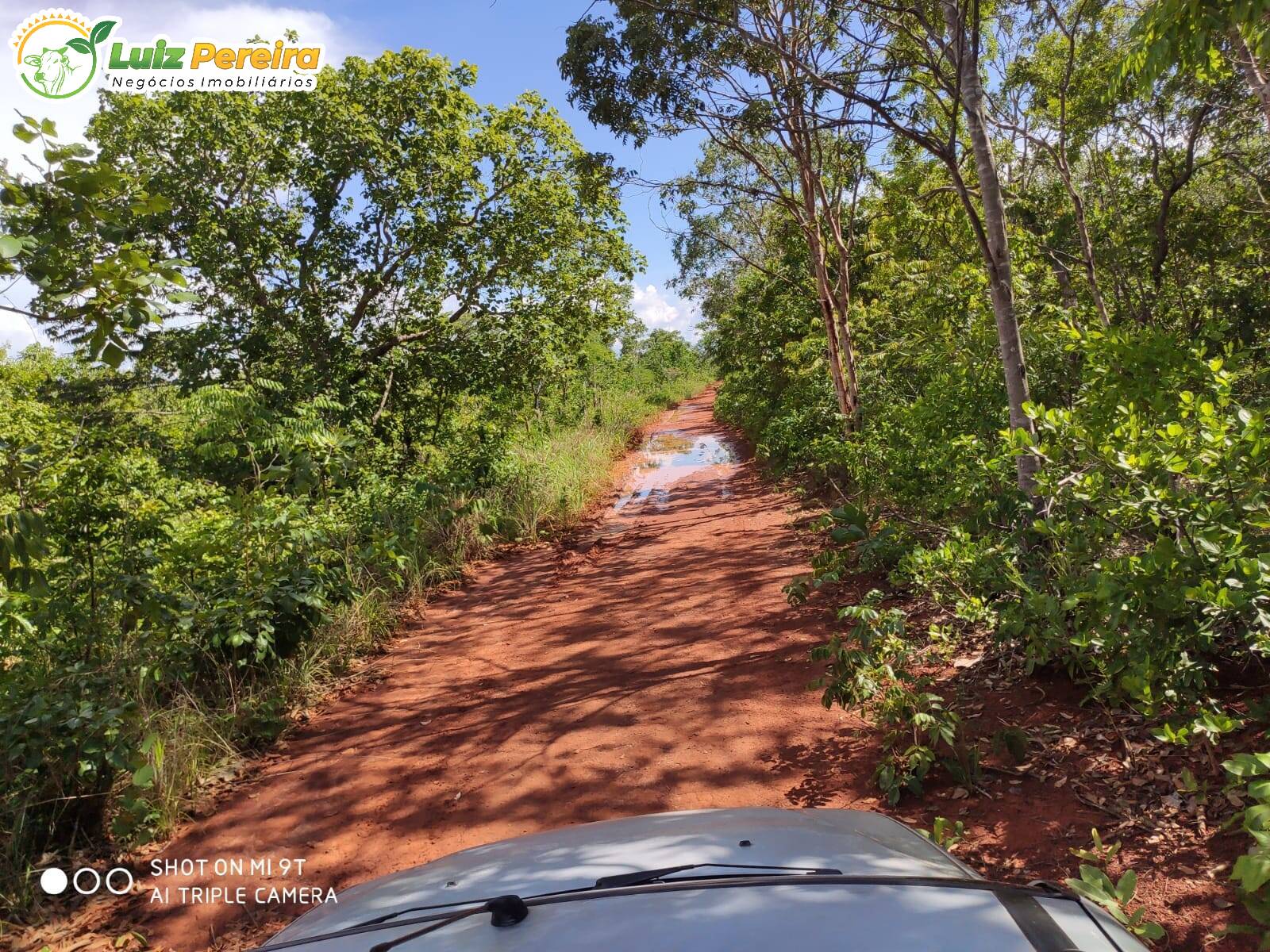 Fazenda à venda, 7623000m² - Foto 13