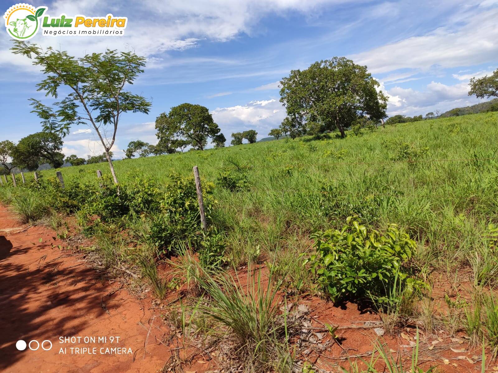 Fazenda à venda, 7623000m² - Foto 14