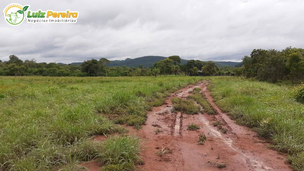 Fazenda à venda, 7623000m² - Foto 11