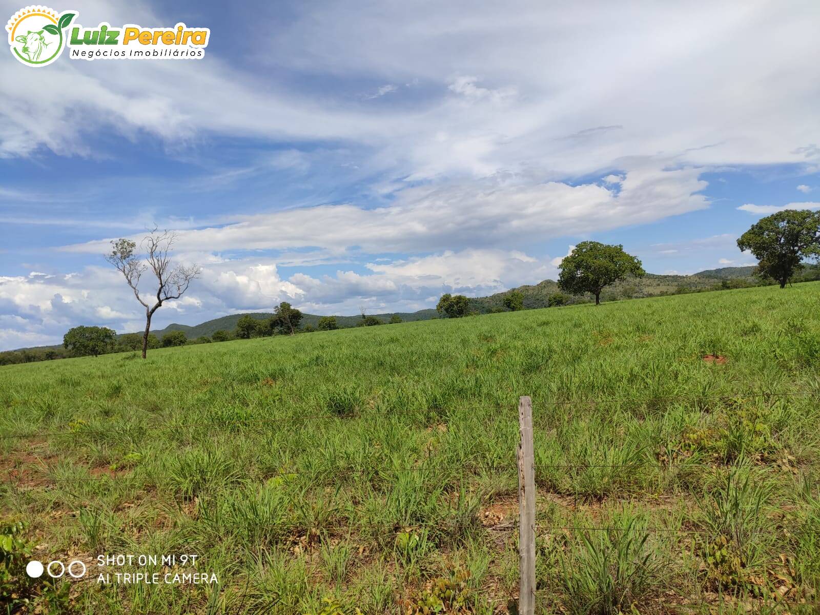 Fazenda à venda, 7623000m² - Foto 8