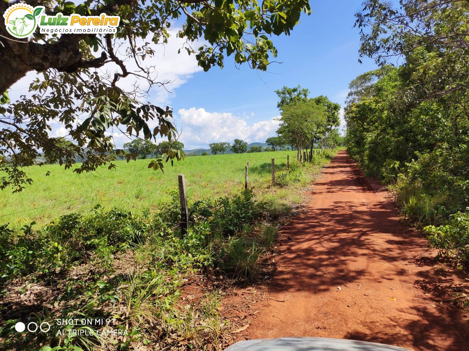 Fazenda à venda, 7623000m² - Foto 16