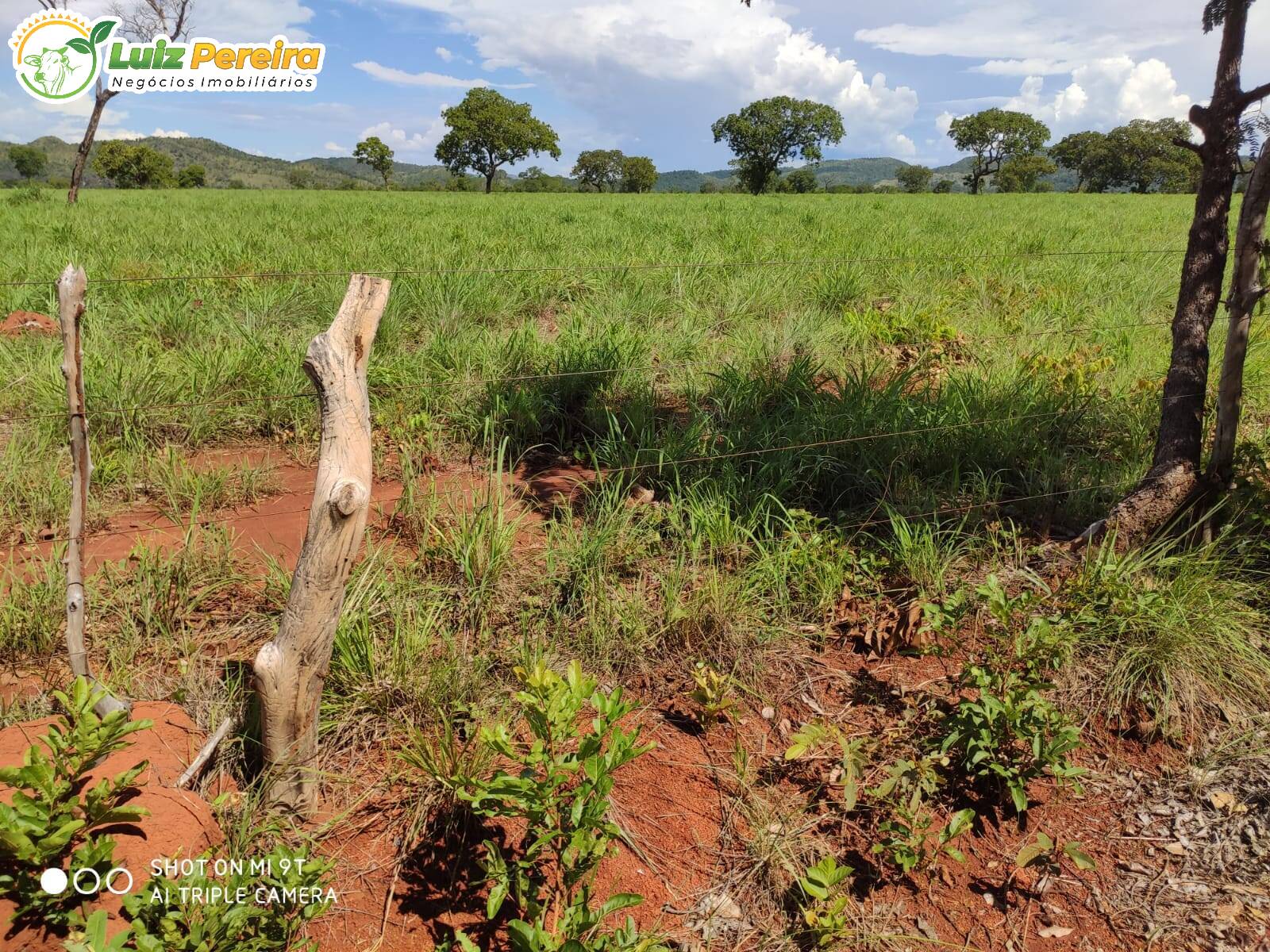 Fazenda à venda, 7623000m² - Foto 10