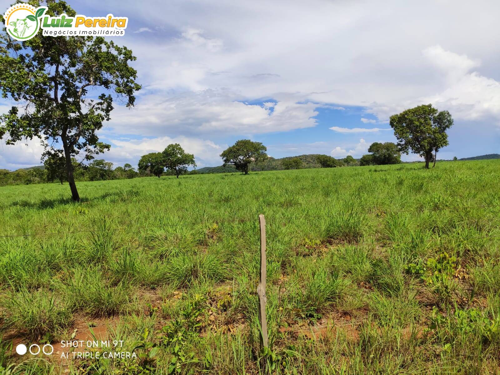 Fazenda-Sítio-Chácara, 762 hectares - Foto 2