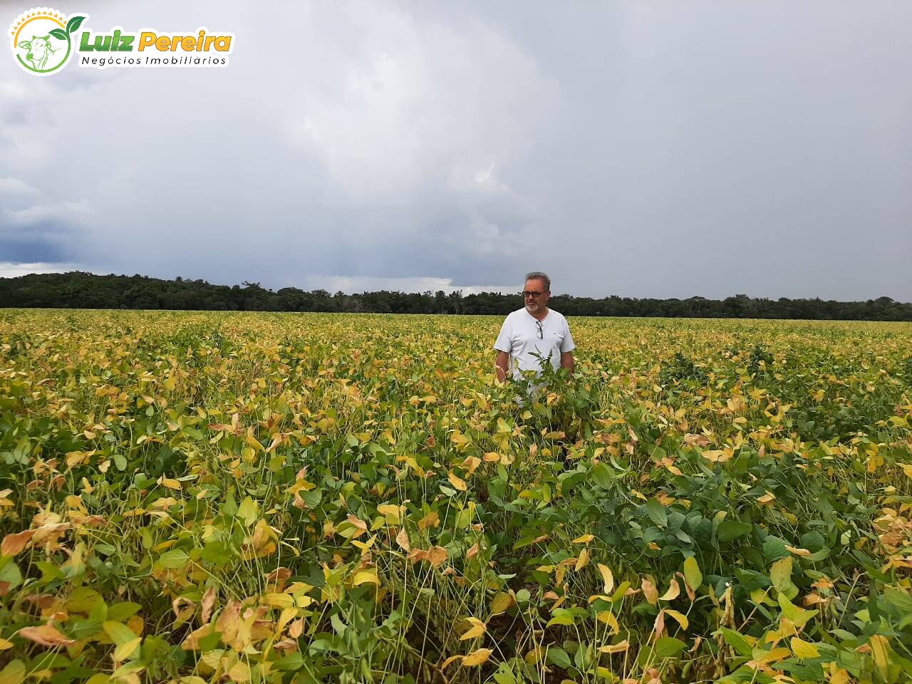 Fazenda à venda, 37950000m² - Foto 5