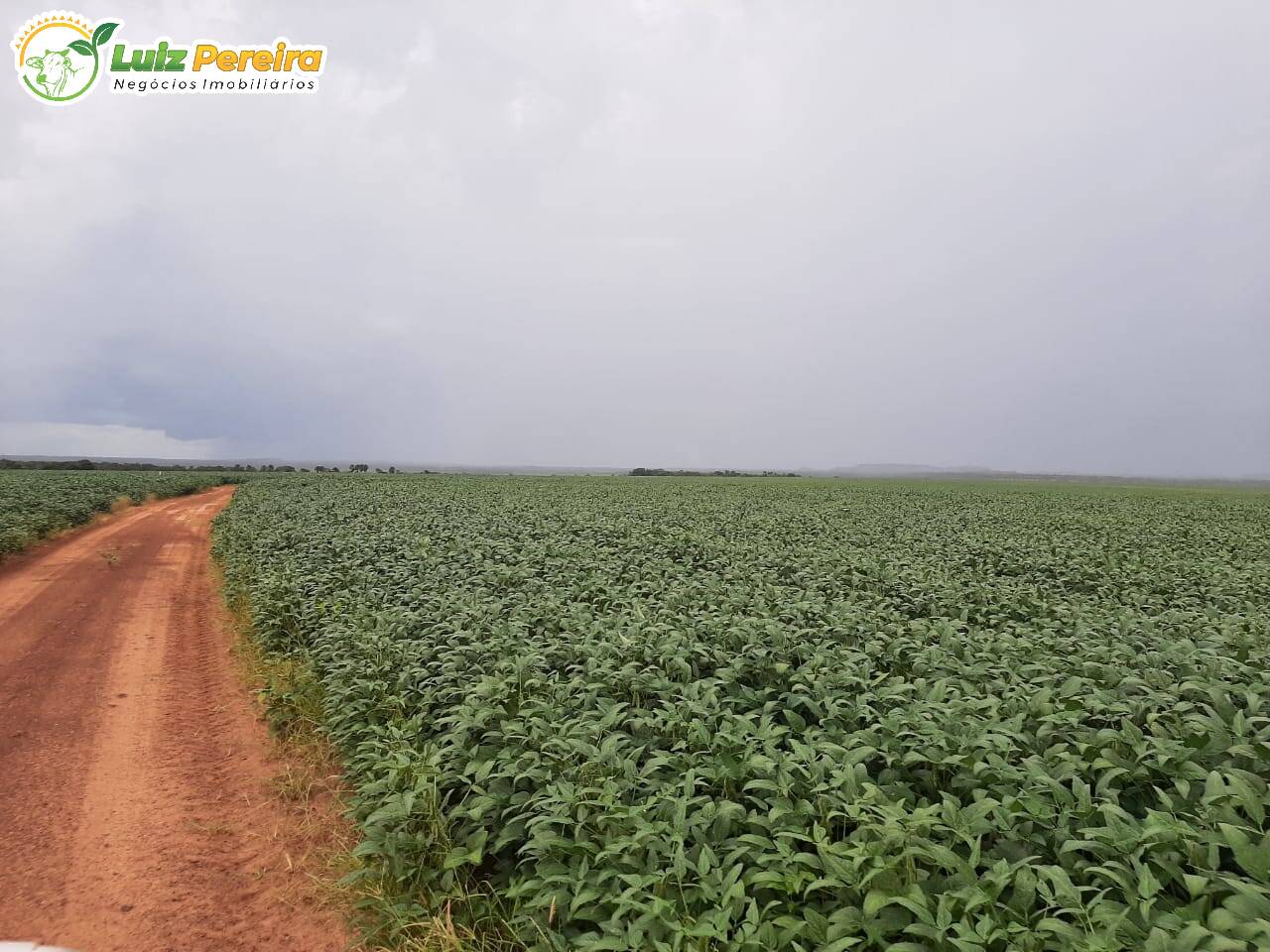 Fazenda à venda, 37950000m² - Foto 8