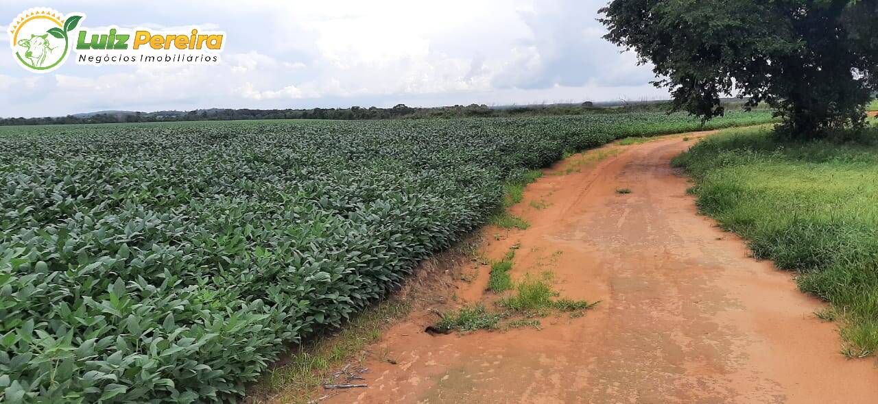 Fazenda à venda, 37950000m² - Foto 7