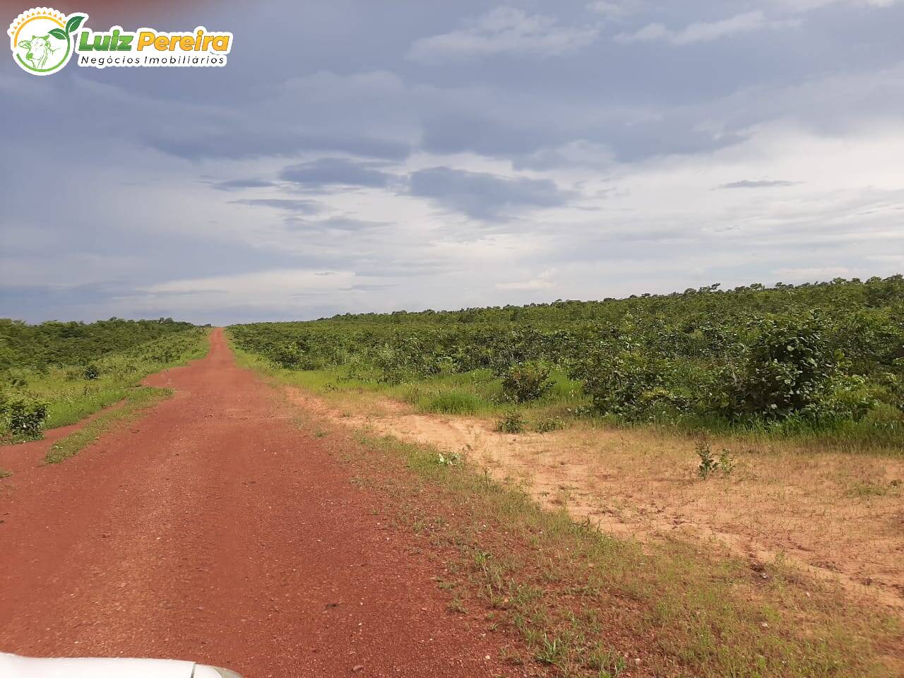 Fazenda à venda, 37950000m² - Foto 9