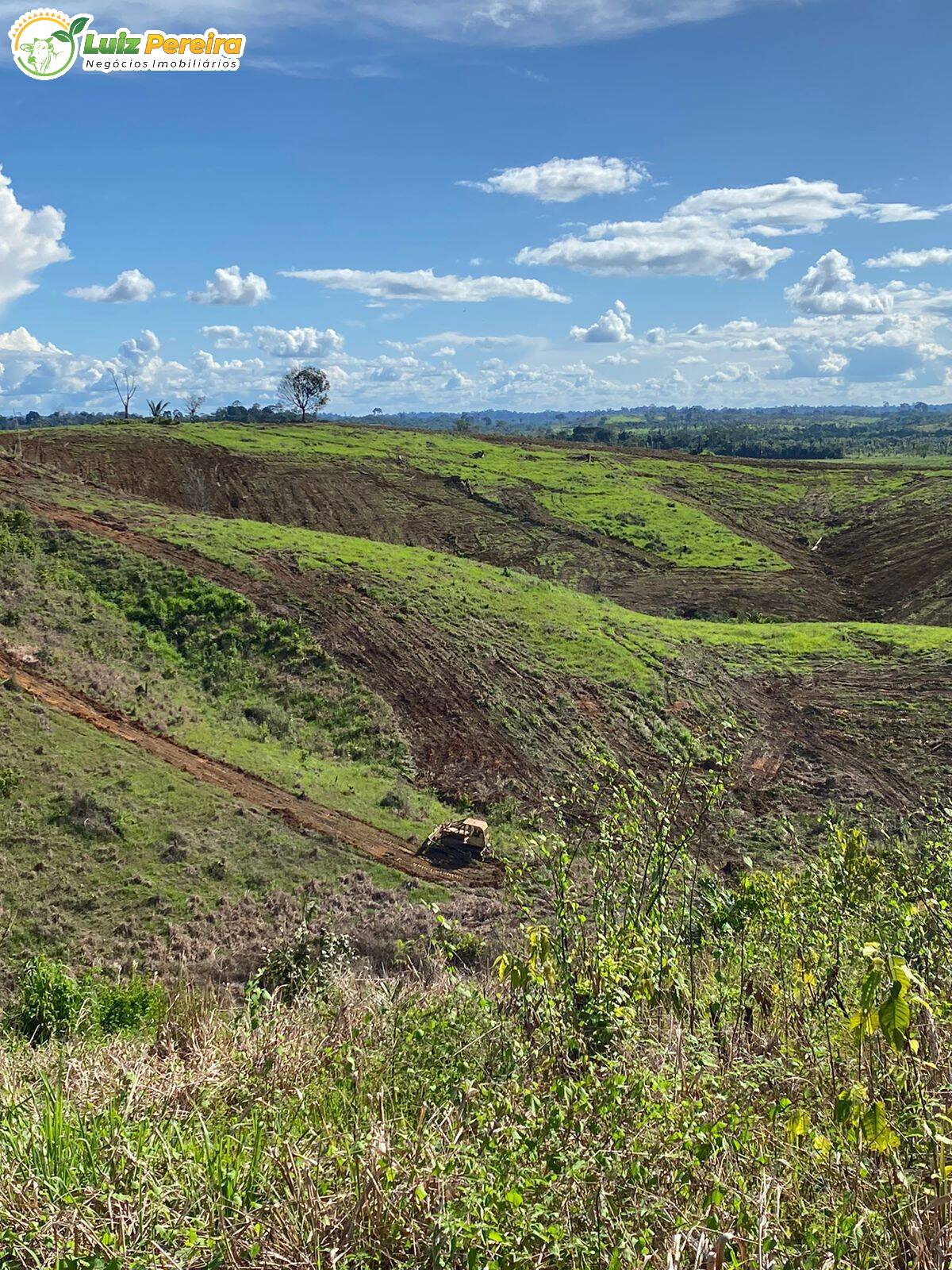 Fazenda à venda, 37950000m² - Foto 14