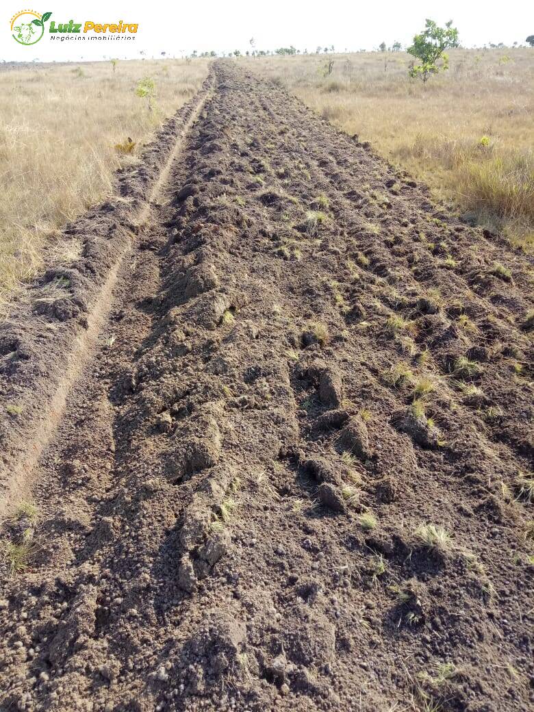 Fazenda à venda, 15972000m² - Foto 8