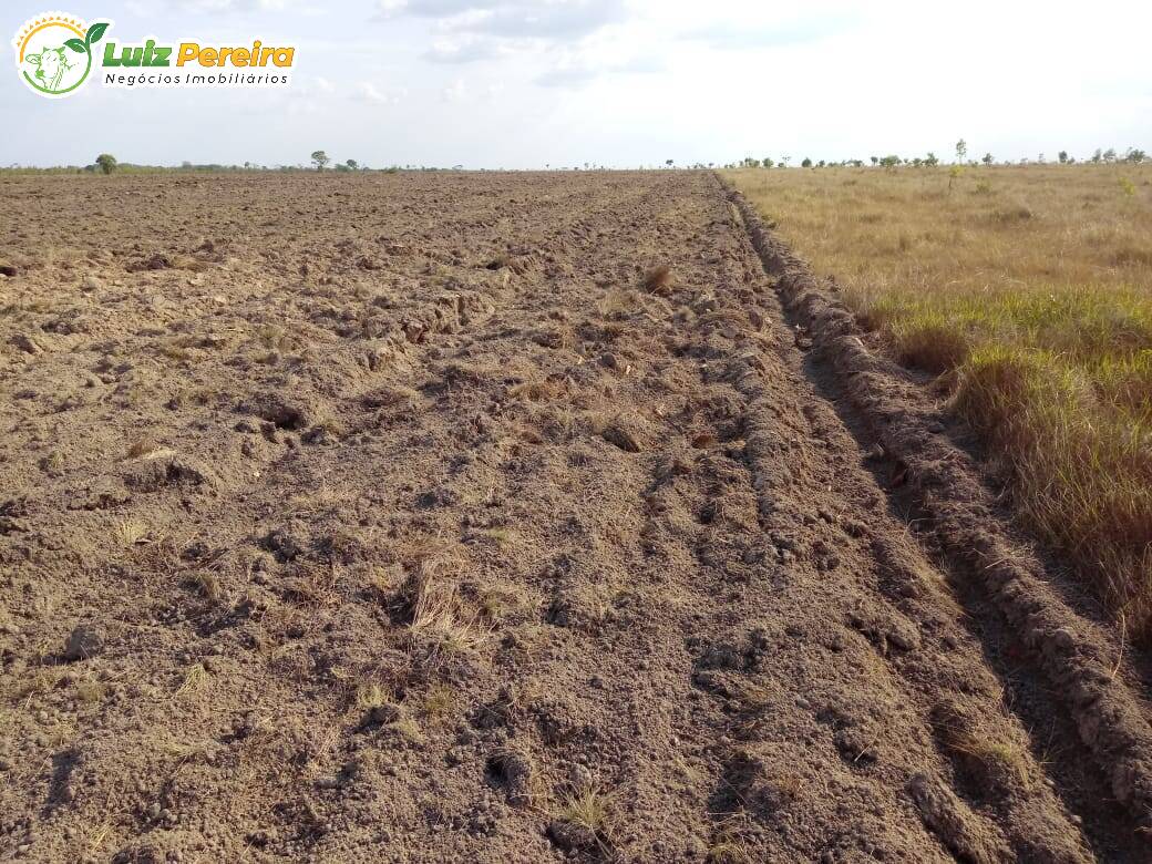 Fazenda à venda, 15972000m² - Foto 9