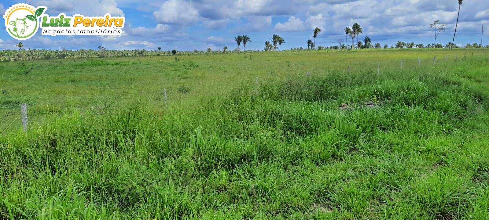 Fazenda à venda, 24200000m² - Foto 5