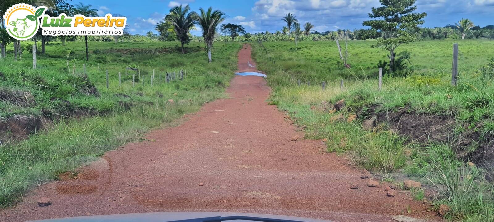 Fazenda à venda, 24200000m² - Foto 7