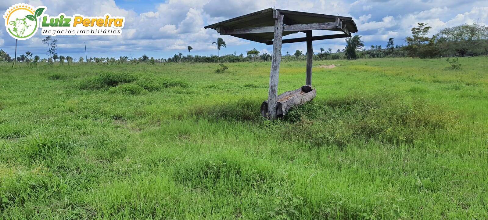 Fazenda à venda, 24200000m² - Foto 6