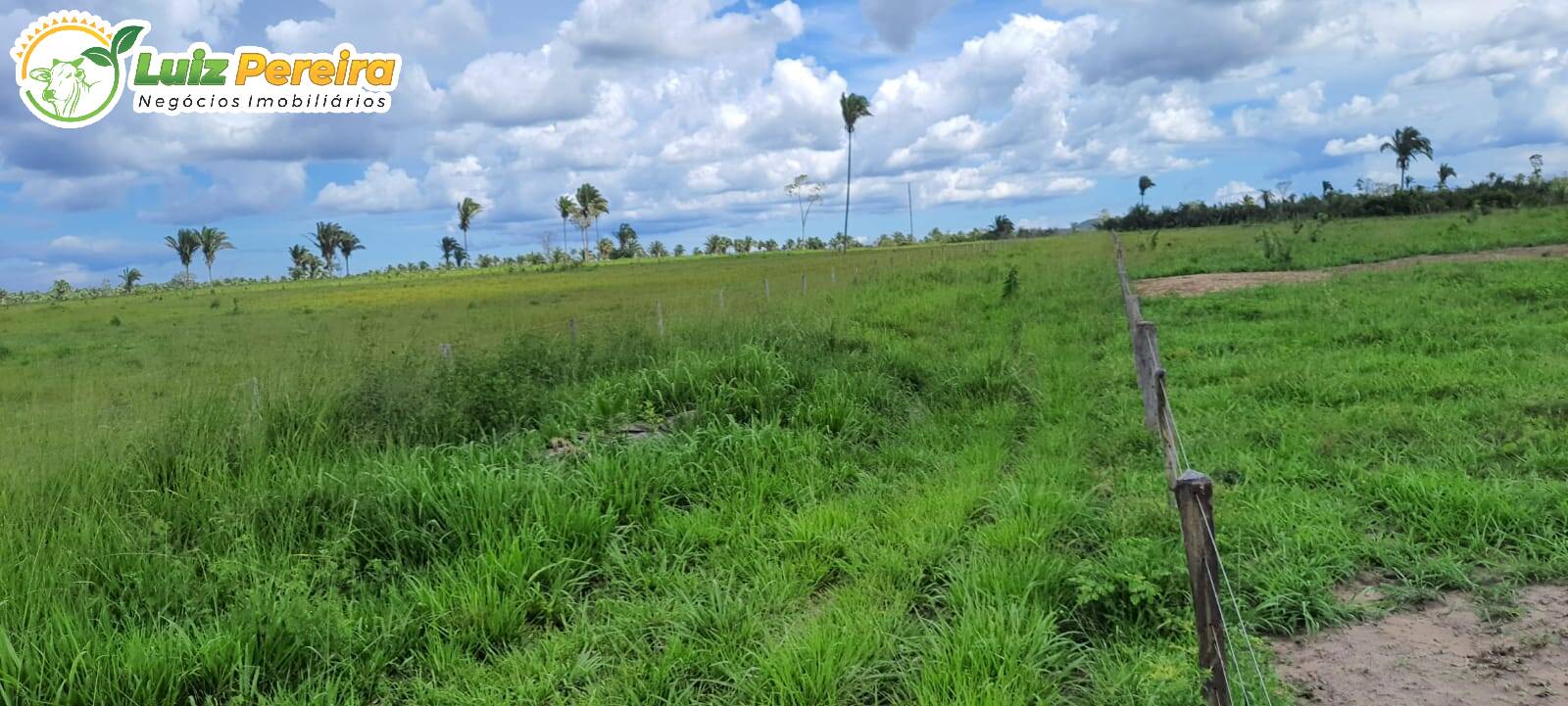 Fazenda à venda, 24200000m² - Foto 3