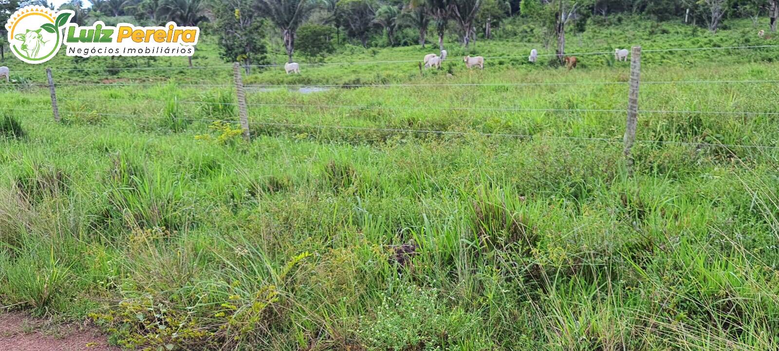 Fazenda à venda, 24200000m² - Foto 2