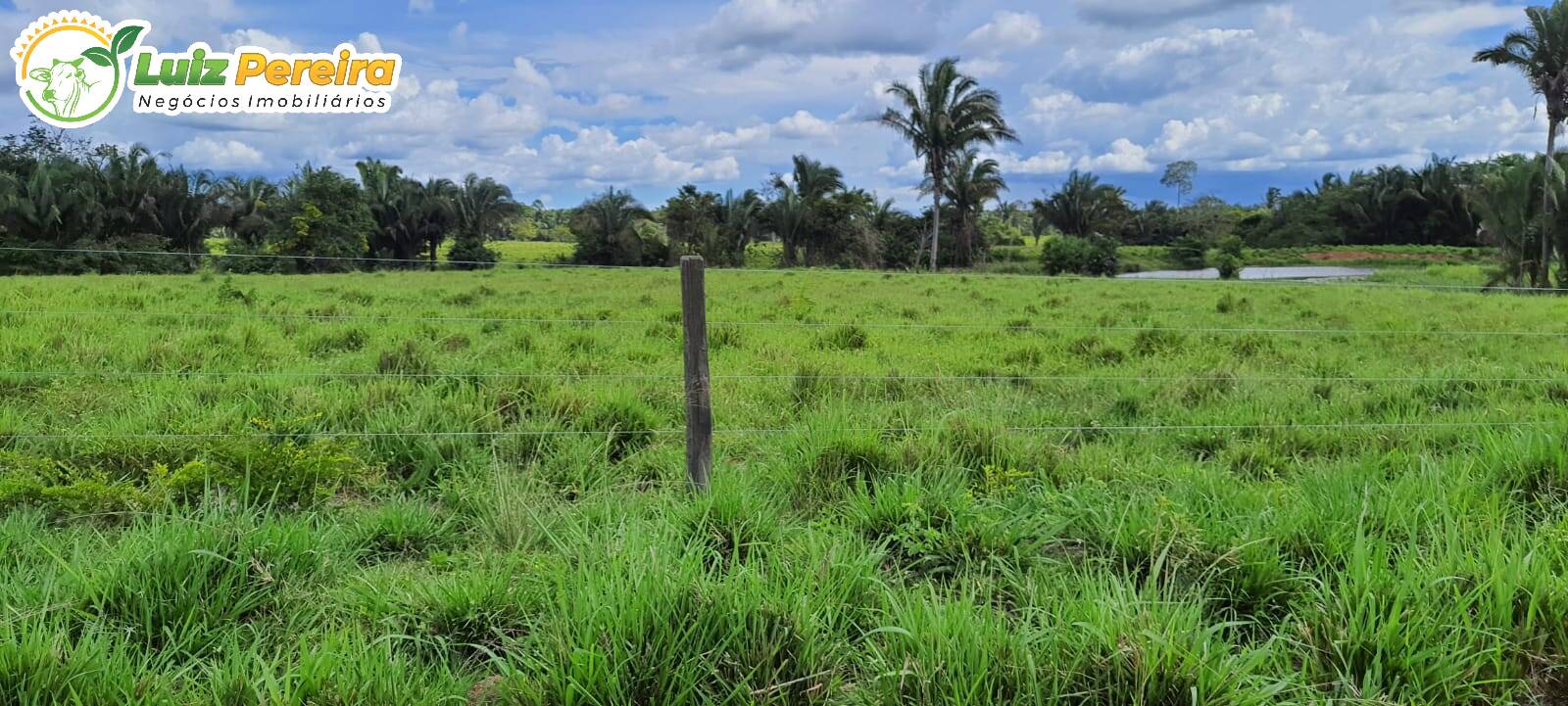 Fazenda à venda, 24200000m² - Foto 1