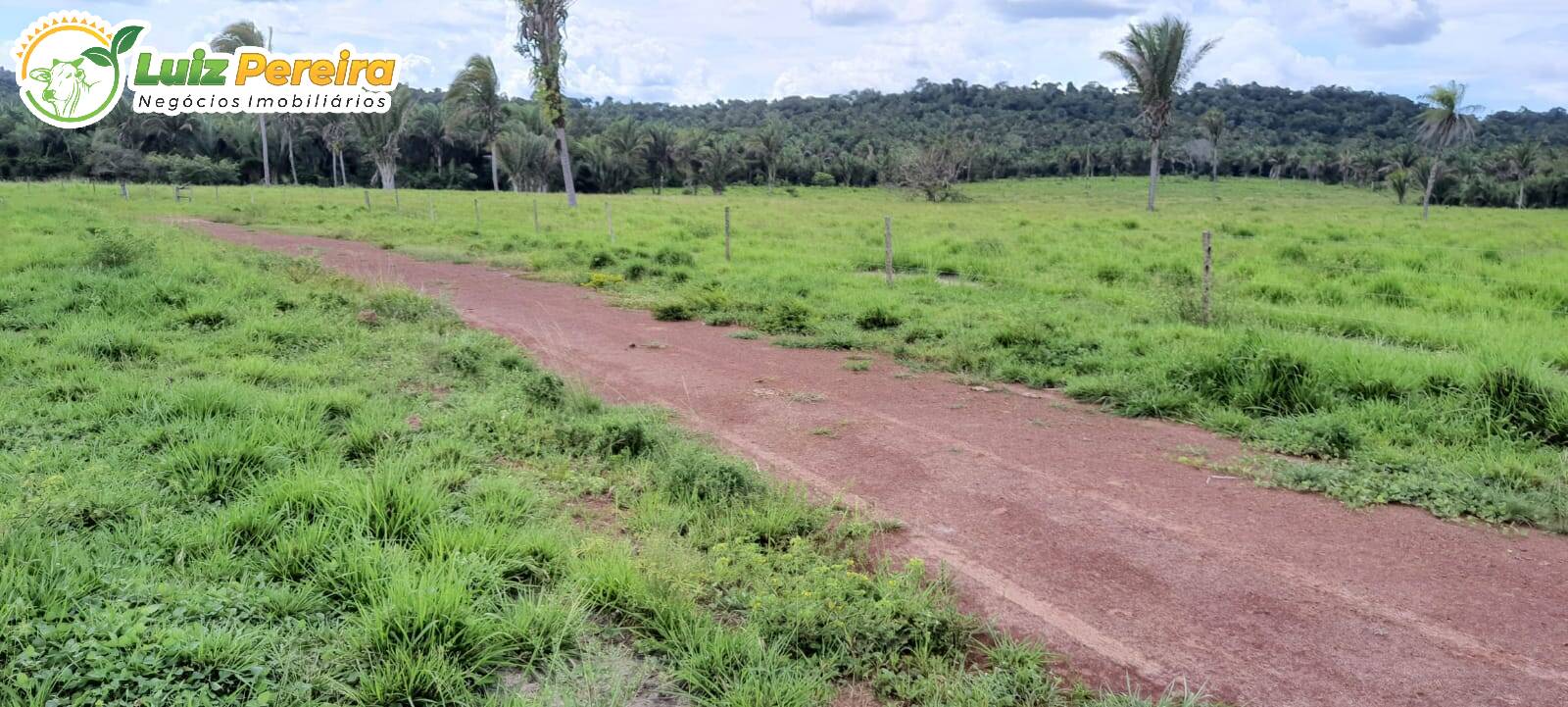 Fazenda à venda, 24200000m² - Foto 9