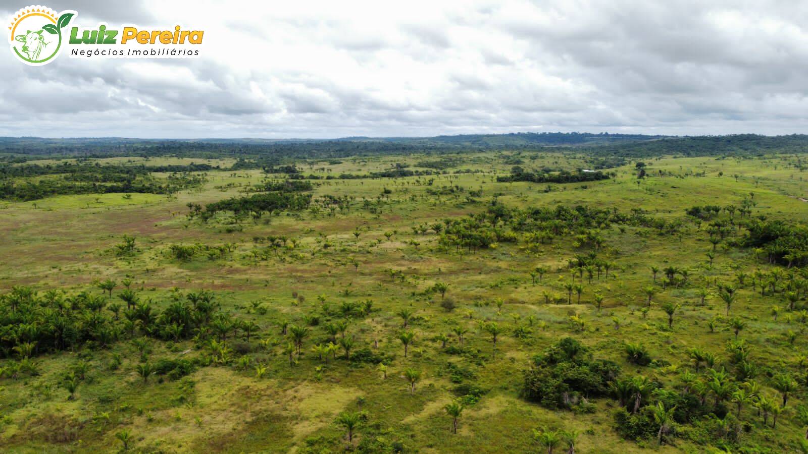 Fazenda-Sítio-Chácara, 363 hectares - Foto 3