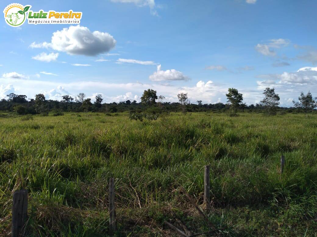 Fazenda-Sítio-Chácara, 363 hectares - Foto 4