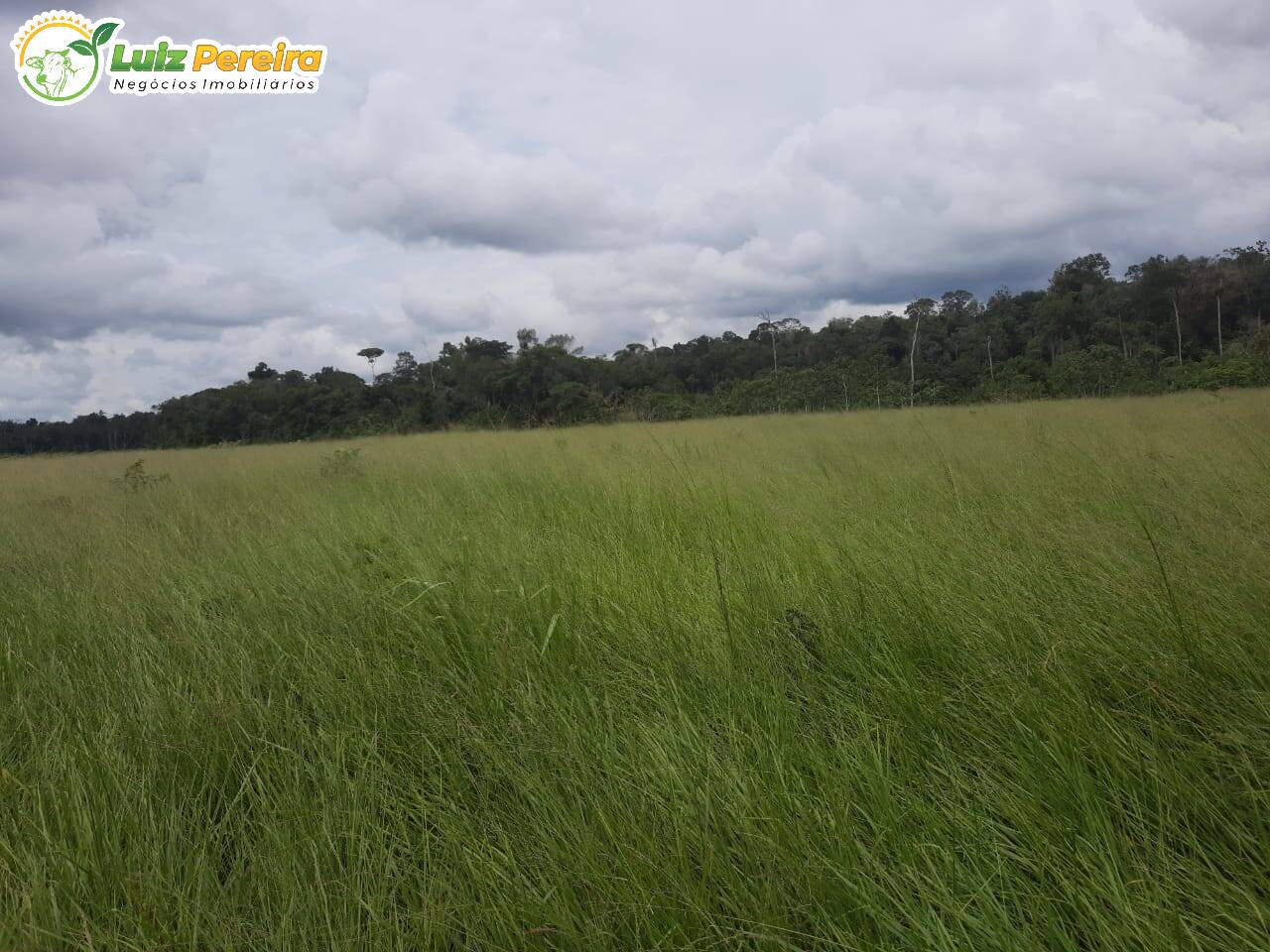 Fazenda-Sítio-Chácara, 363 hectares - Foto 1