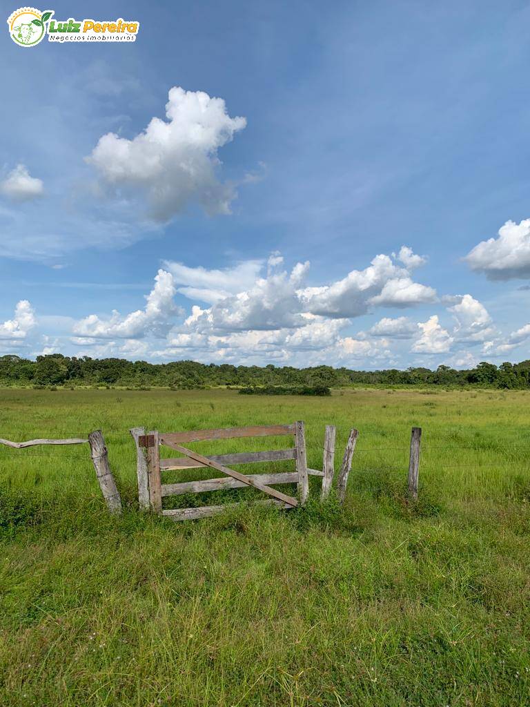 Fazenda à venda, 3630000m² - Foto 10