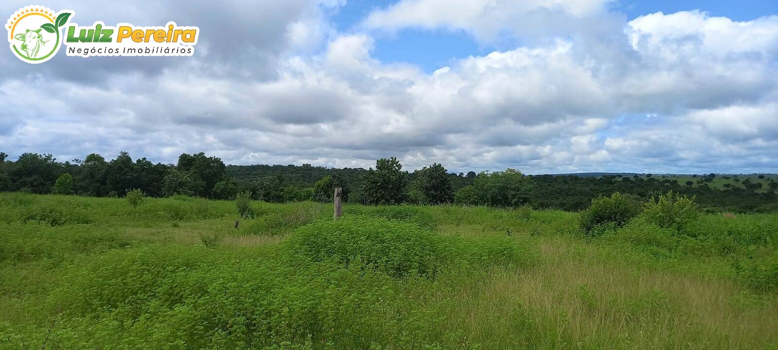 Fazenda à venda, 3630000m² - Foto 7