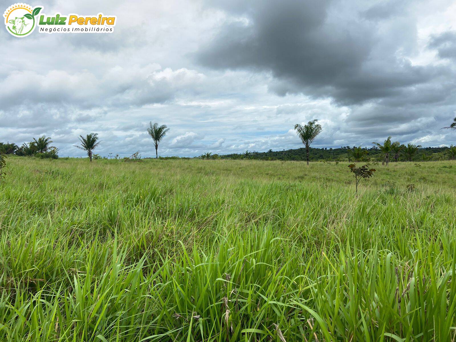 Fazenda à venda, 3630000m² - Foto 6