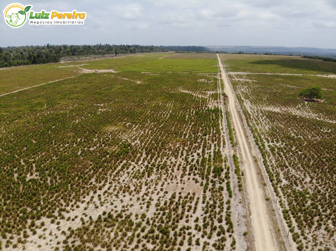 Fazenda à venda, 12560000m² - Foto 5