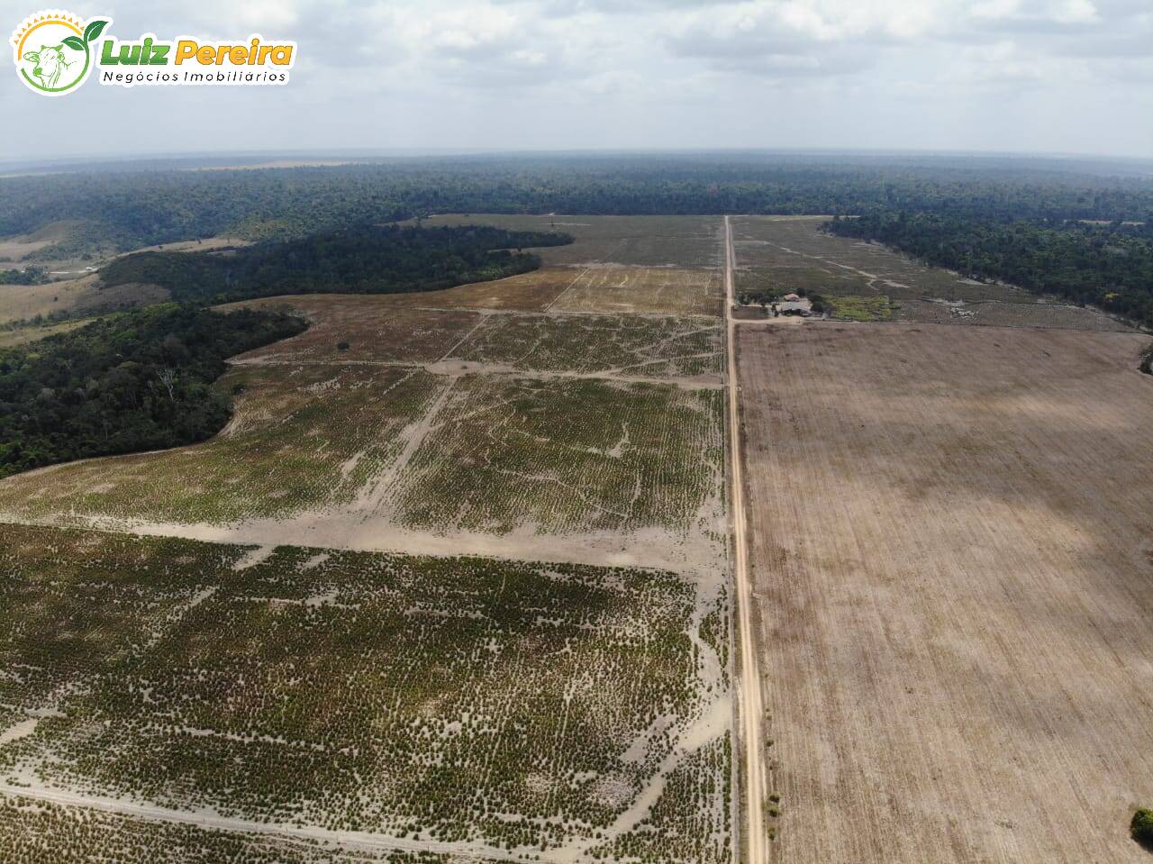 Fazenda à venda, 12560000m² - Foto 11